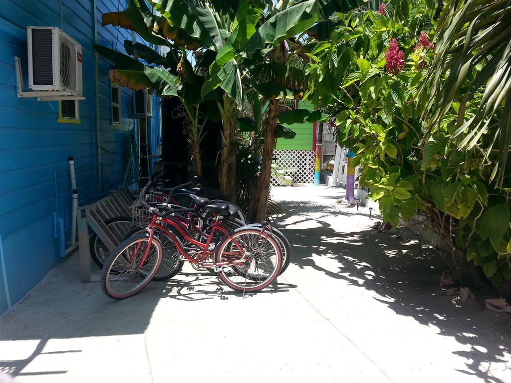 Sea N Sun Guest House Caye Caulker Exteriér fotografie