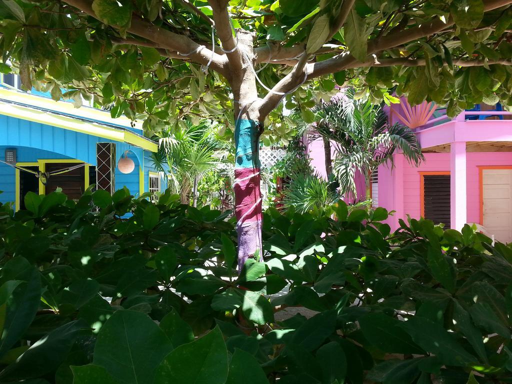 Sea N Sun Guest House Caye Caulker Exteriér fotografie
