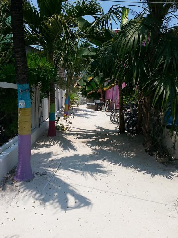 Sea N Sun Guest House Caye Caulker Exteriér fotografie